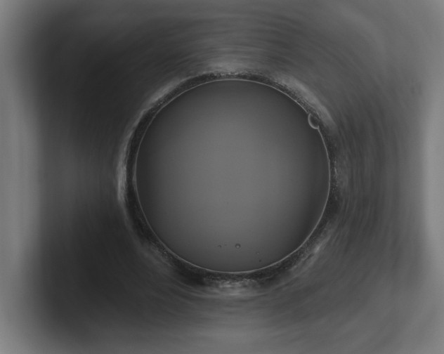 X0000102410488200808011611