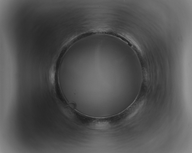 X0000102410491200808011611