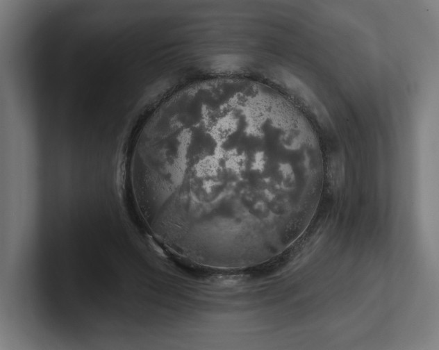 X0000102410495200808011611