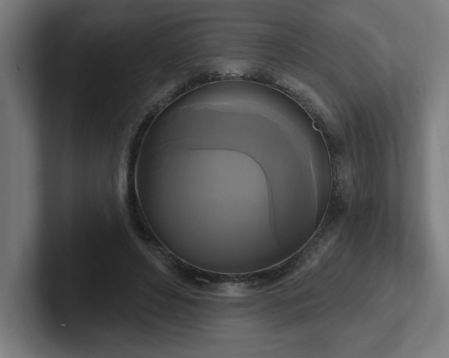 X0000102410496200808011610