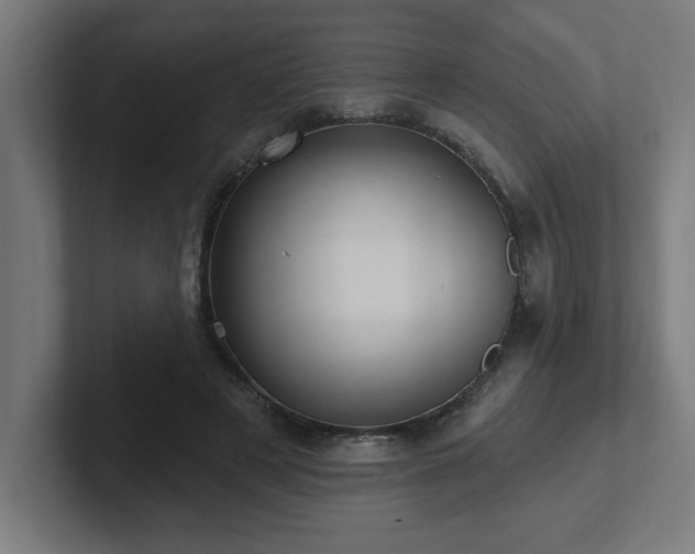 X0000102410497200808011610