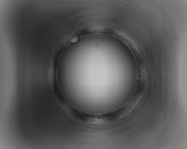 X0000102410498200808011610