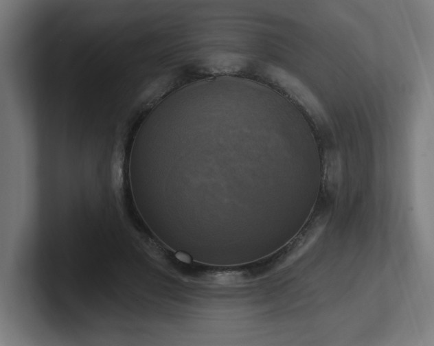 X0000102410501200808011610