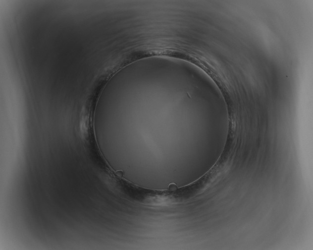 X0000102410503200808011610