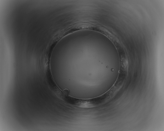 X0000102410507200808011610