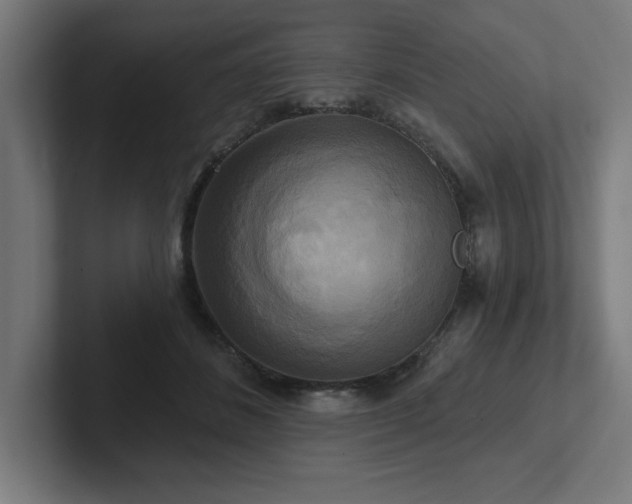 X0000102410508200808011610