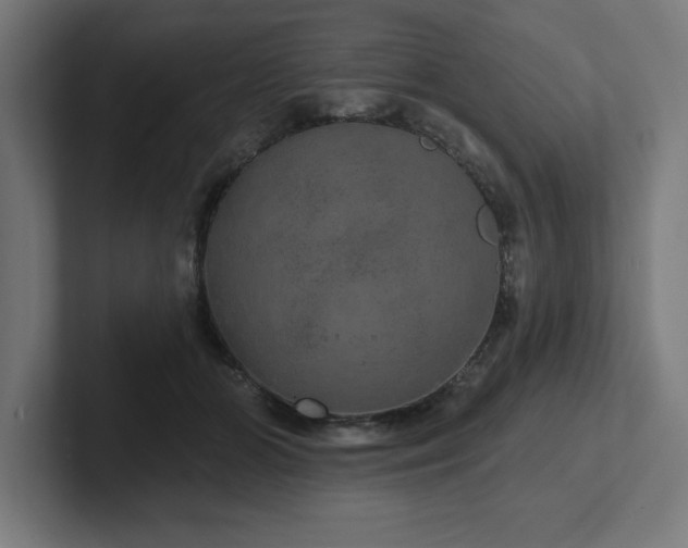 X0000102410510200808011610