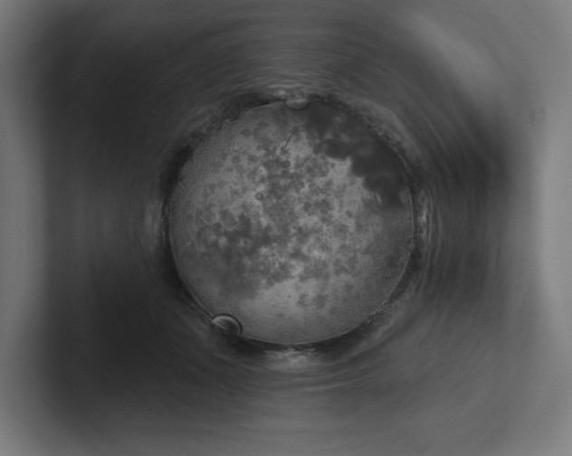 X0000102410511200808011610