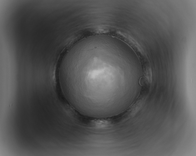 X0000102410512200808011610