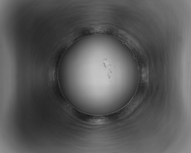 X0000102410514200808011610