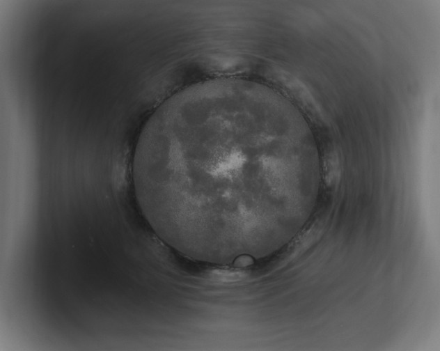 X0000102410515200808011610