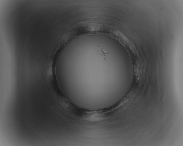 X0000102410516200808011610