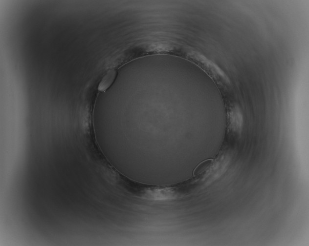 X0000102410517200808011610