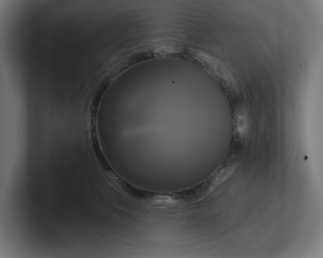 X0000102410519200808011610