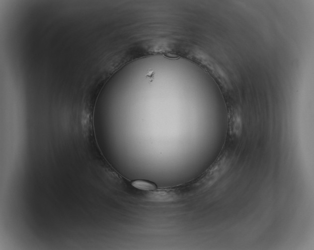 X0000102410521200808011610