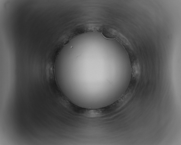 X0000102410522200808011610