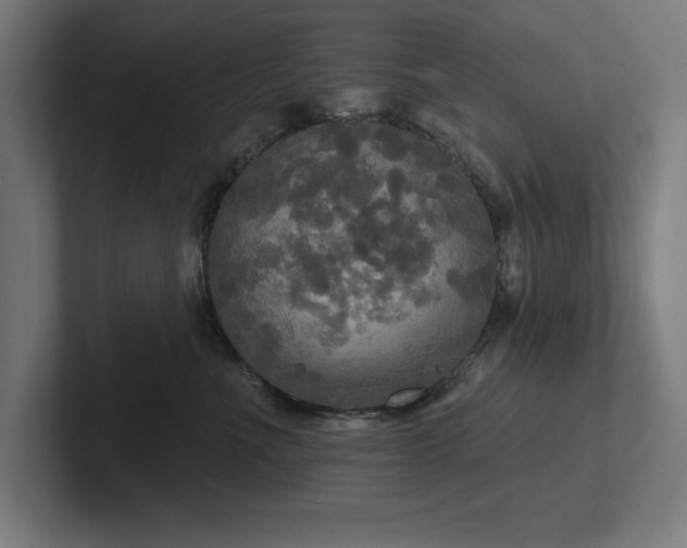 X0000102410523200808011610