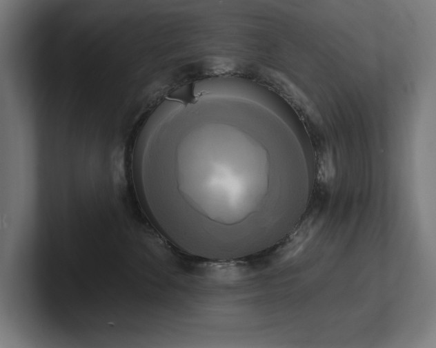 X0000102410524200808011610