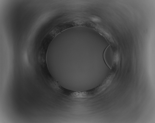 X0000102410526200808011610