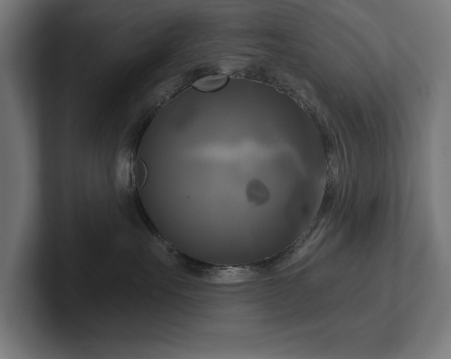 X0000102410527200808011610