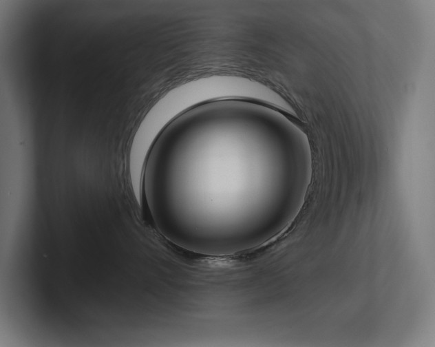 X0000102410528200808011610