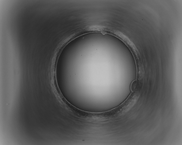 X0000102410529200808011609
