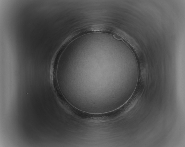 X0000102410530200808011609