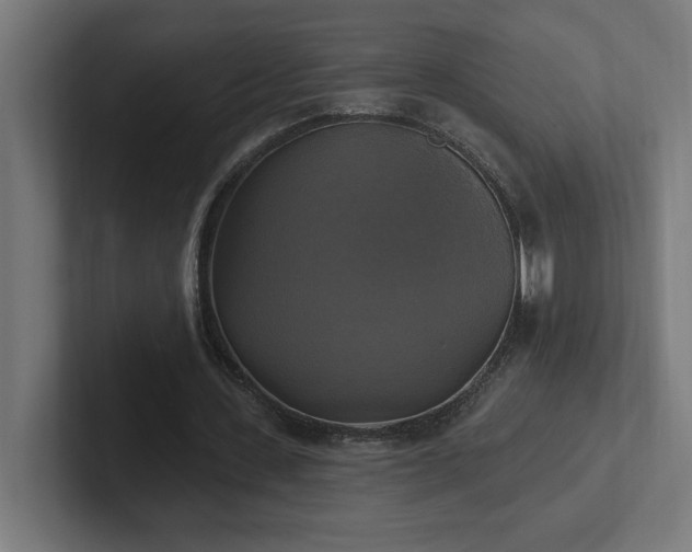 X0000102410531200808011609