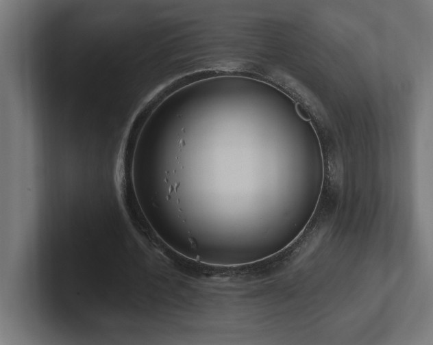 X0000102410532200808011609
