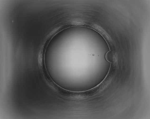X0000102410533200808011609
