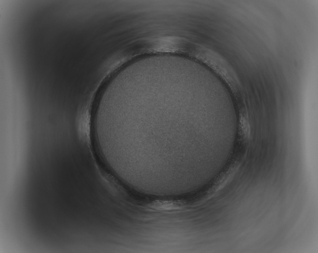 X0000102410534200808011609