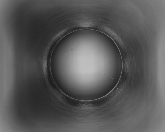 X0000102410535200808011609