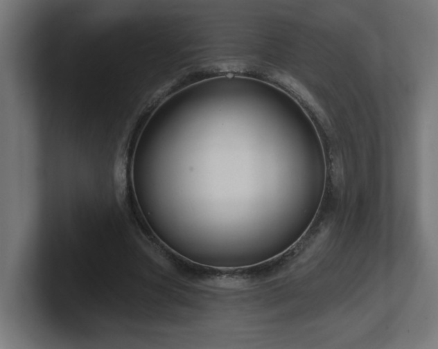 X0000102410537200808011610