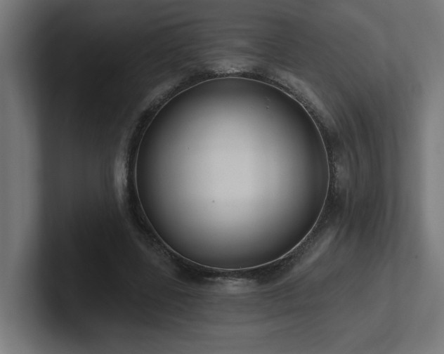 X0000102410539200808011610