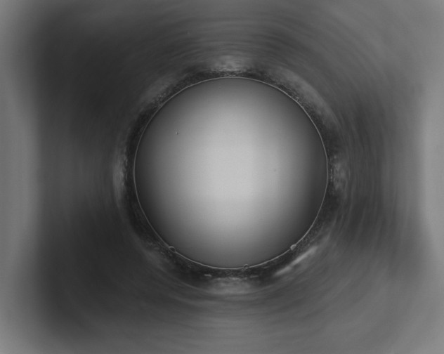 X0000102410544200808011610