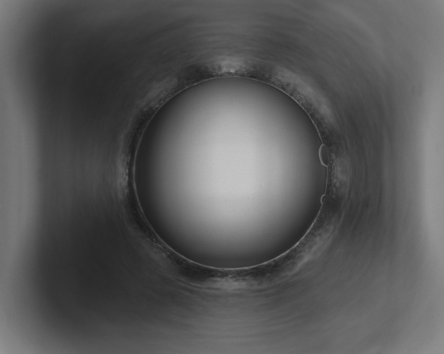 X0000102410545200808011610