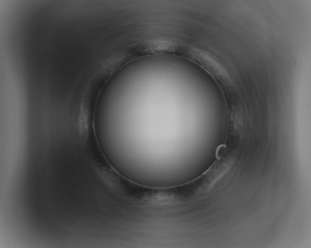 X0000102410546200808011610