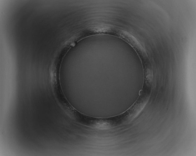 X0000102410547200808011610