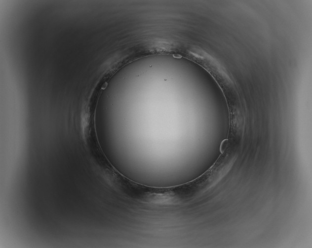 X0000102410548200808011610