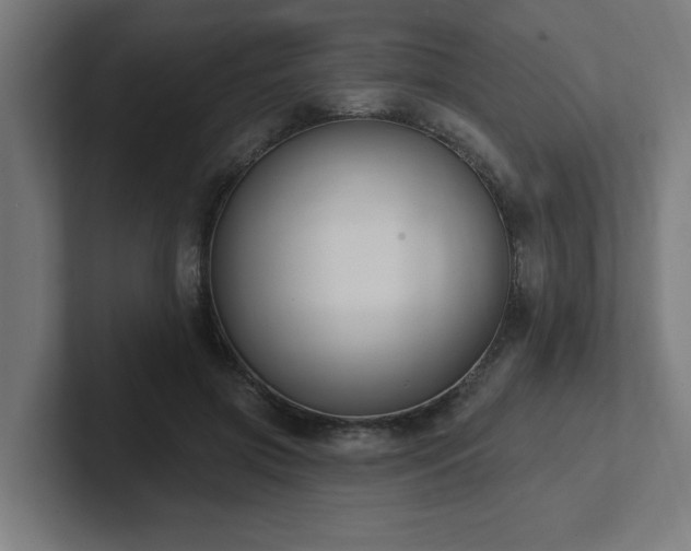 X0000102410549200808011610