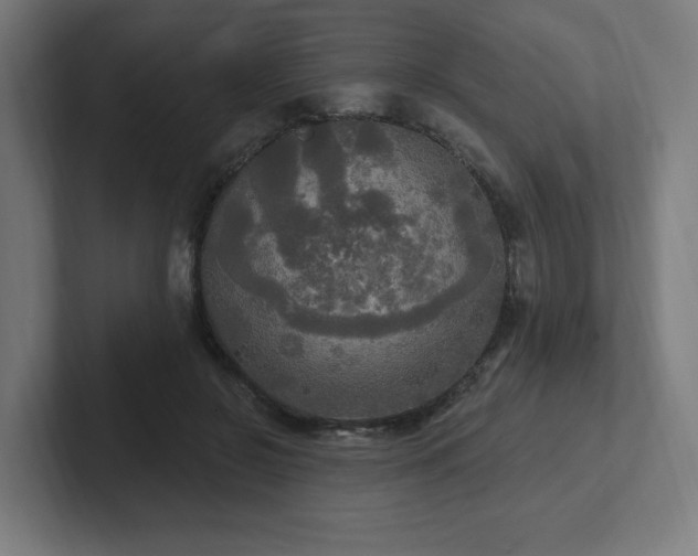 X0000102410550200808011610