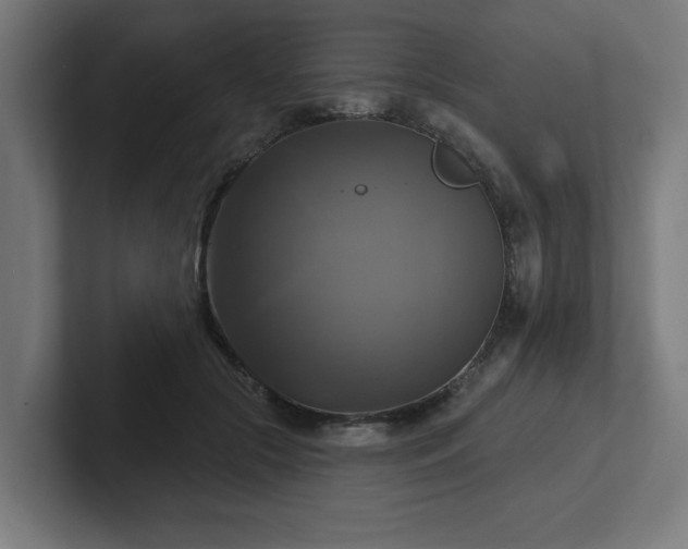 X0000102410553200808011610