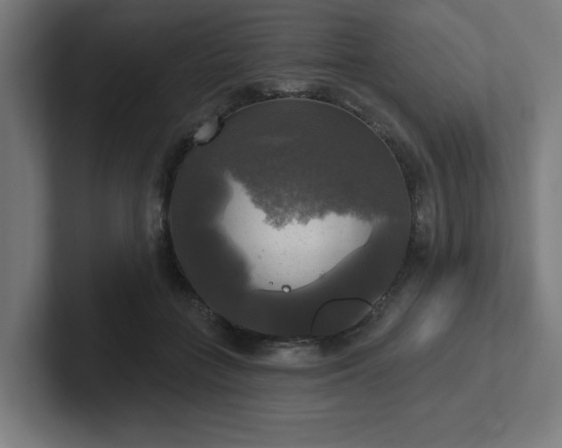 X0000102410555200808011610