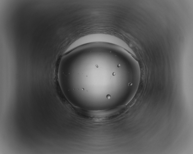 X0000102410560200808011610