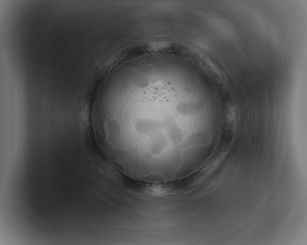 X0000102410565200808011610