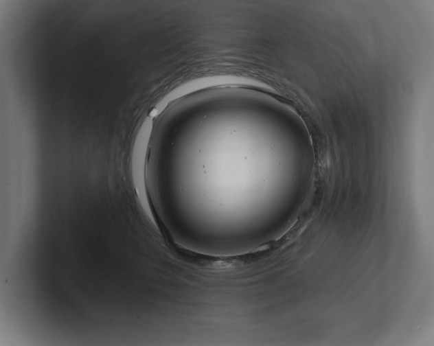 X0000102410566200808011610