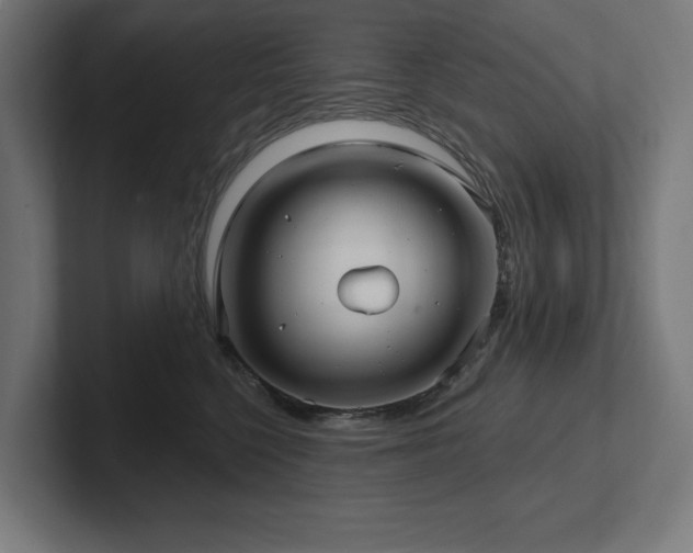 X0000102410568200808011610