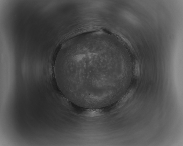 X0000102410569200808011610