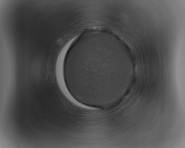 X0000102410570200808011610