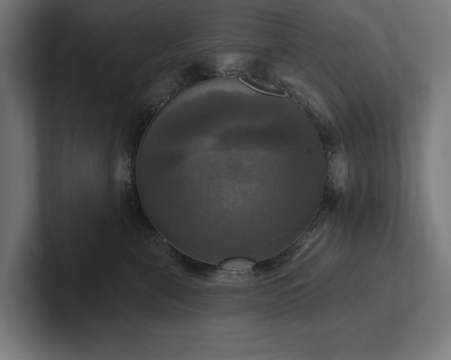 X0000102410571200808011610